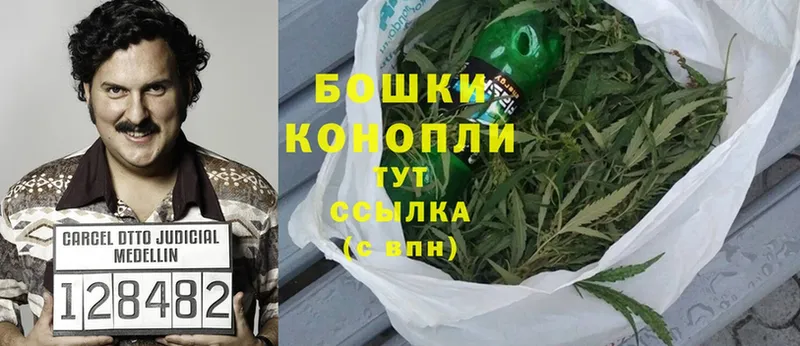 Бошки марихуана OG Kush  Любань 